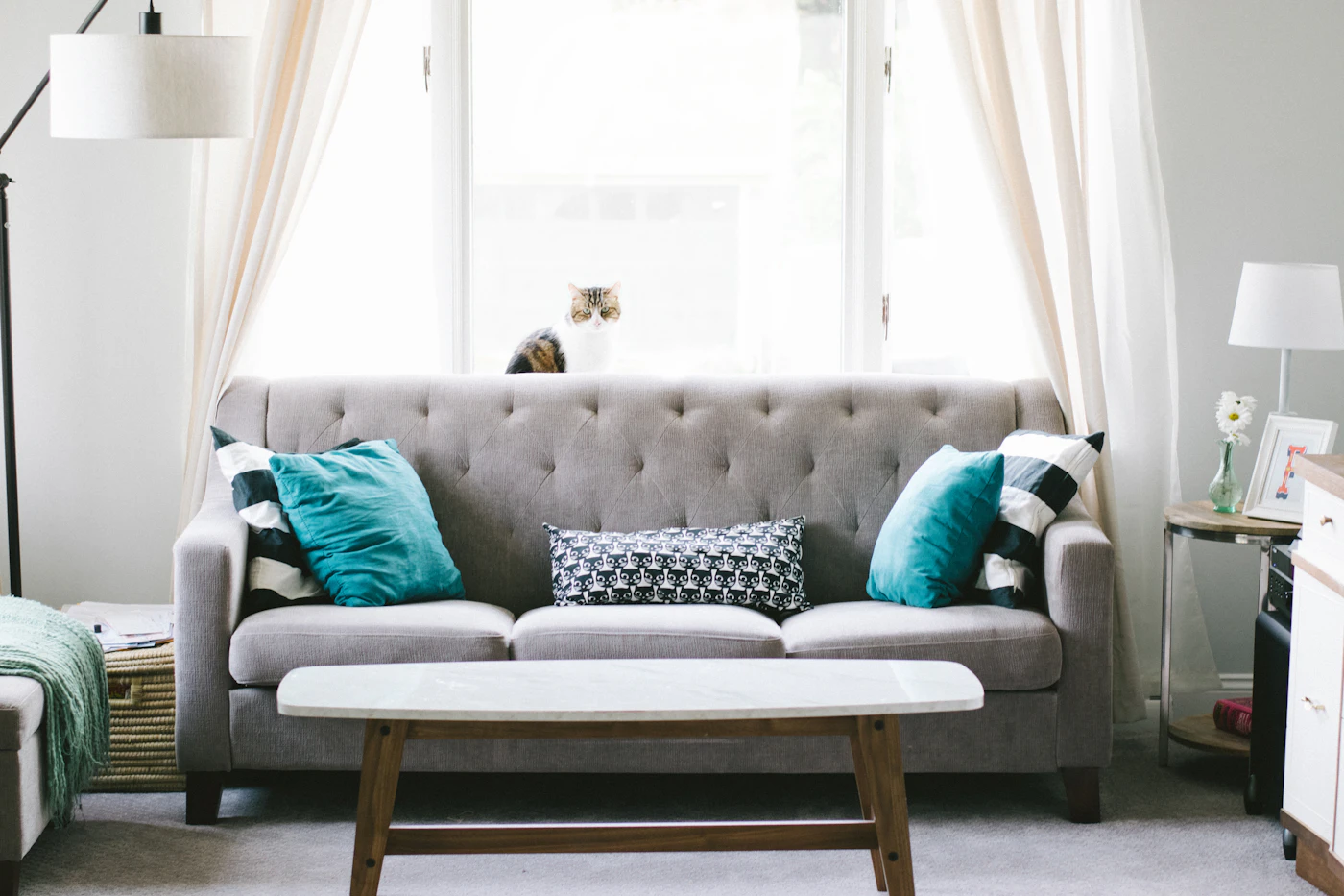 A grey sofa with blue-green cushions beside a bright window.